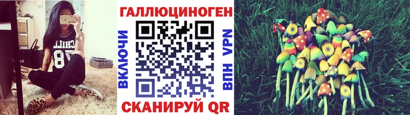 Псилоцибиновые грибы мицелий  Комсомольск-на-Амуре 